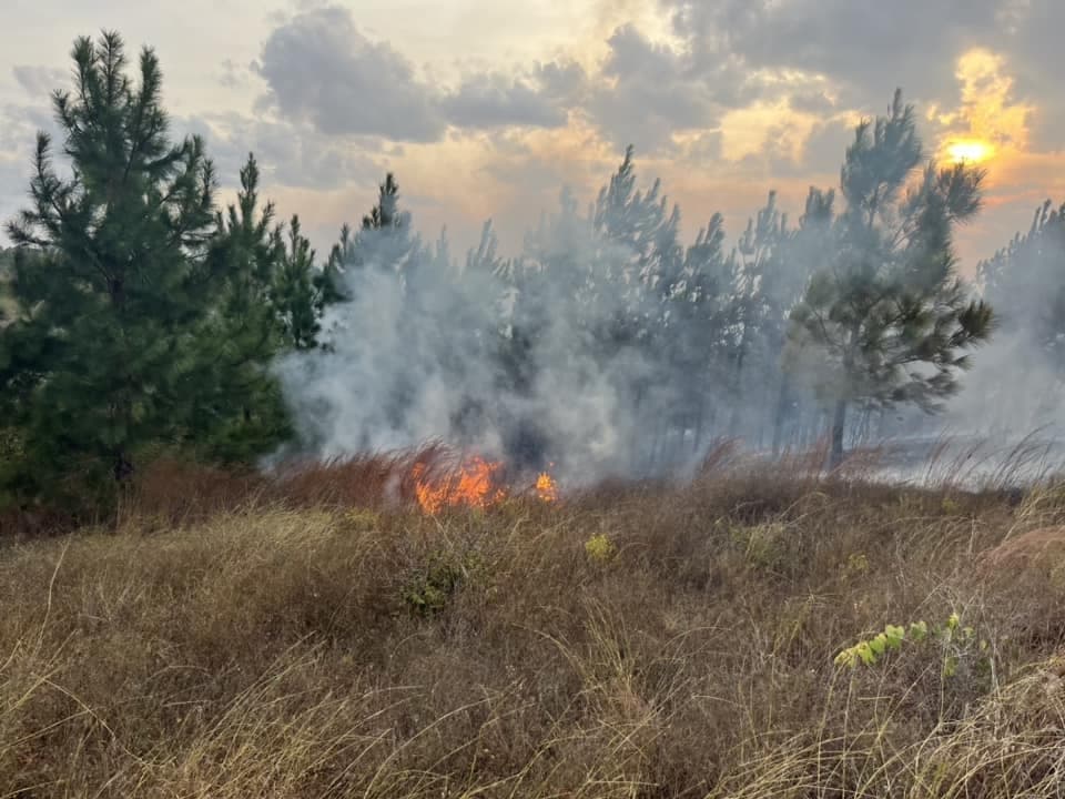 The wildfire began in the early afternoon near the 100 block of Hudson Road on Nov. 3. (Courtesy Nicholas Teague/Bastrop-Travis Counties Emergency Services District No. 1)
