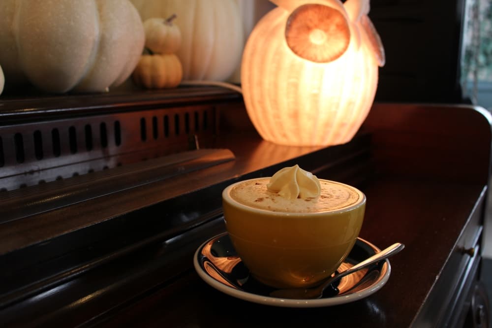 Java Owl Coffee House aims to create warm, welcoming atmosphere in Nassau Bay