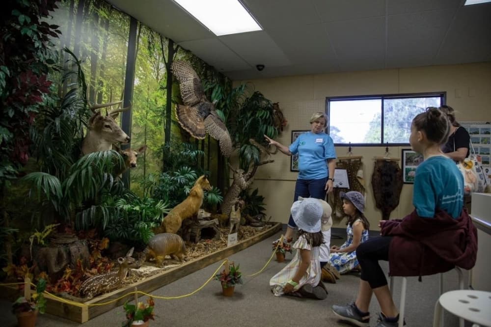 Friends of Texas Wildlife rescues, rehabilitates and releases injured, orphaned or abandoned wildlife alongside hosting many educational presentations. (Courtesy Friends of Texas Wildlife)