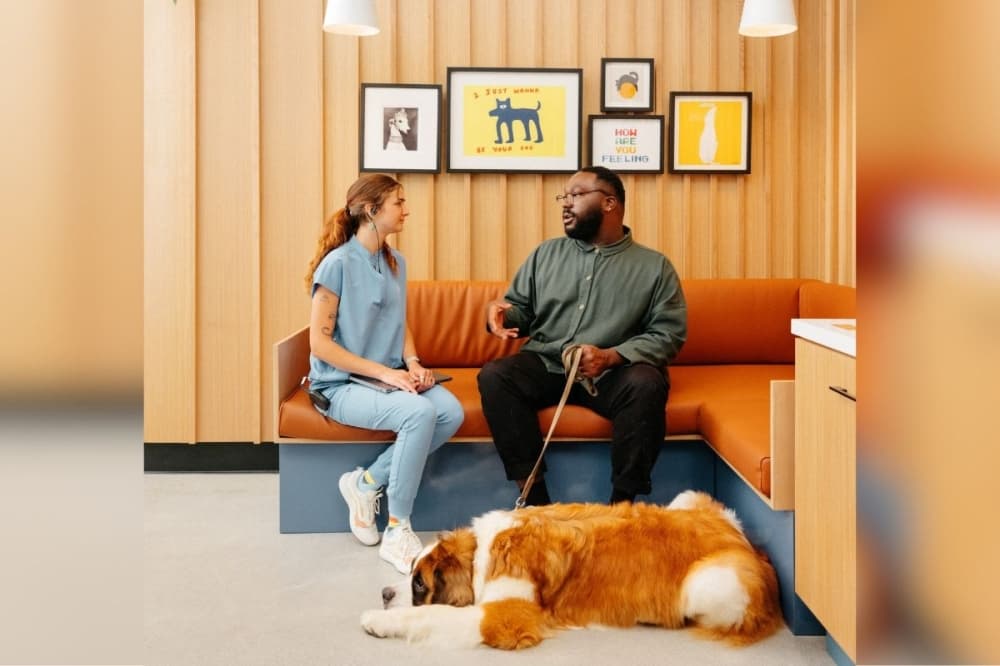 A woman is talking with a man as a dog lays right next to them.