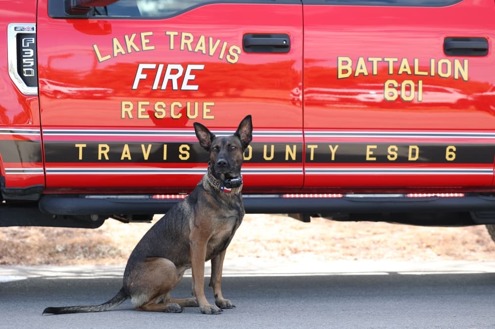 Lake Travis Fire Rescue brought several fire investigation dogs out to the celebration. (Courtesy Lake Travis Fire Rescue)