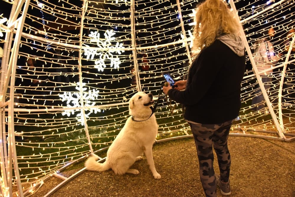Mark your calendar: 12 Bastrop events to check out this holiday season