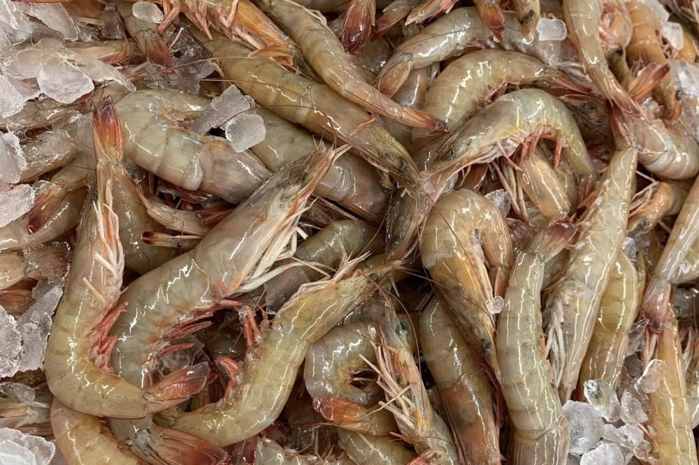 Seafood Central set to open next spring in Cypress