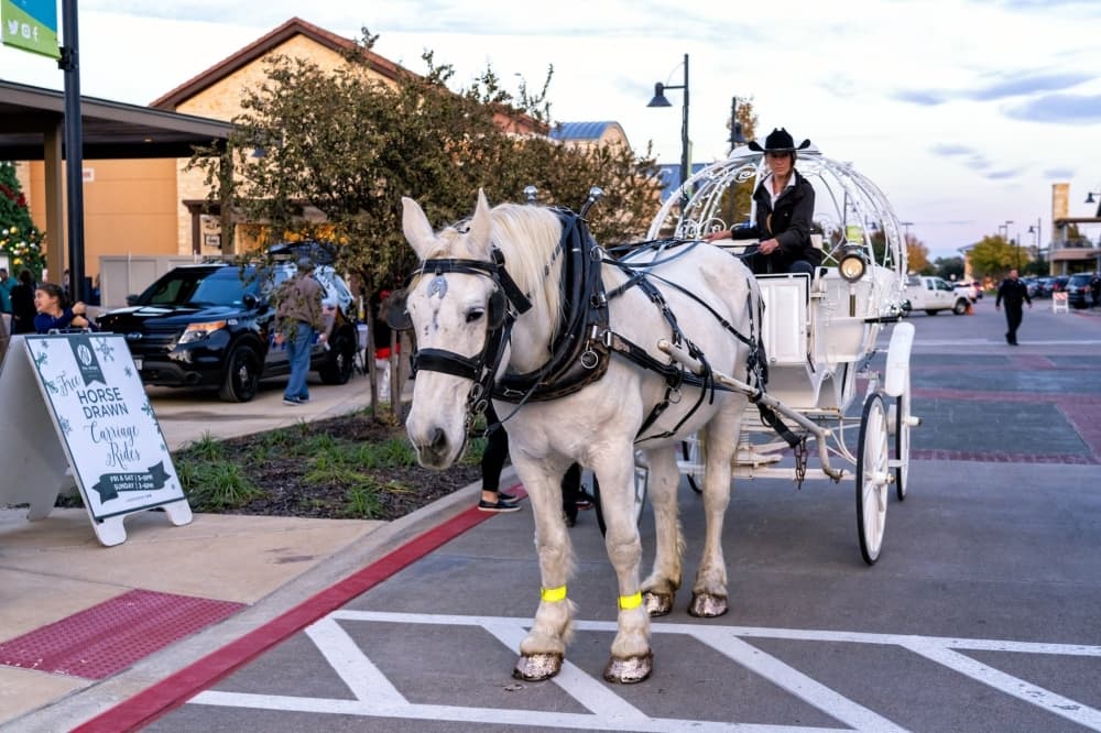 5Ks, chocolate: Close out the fall with these 13 Flower Mound, Highland Village, Argyle events