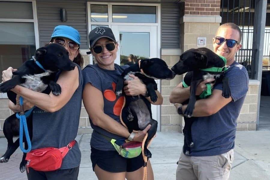 Fort Worth relaunches Animal Care and Control volunteer program