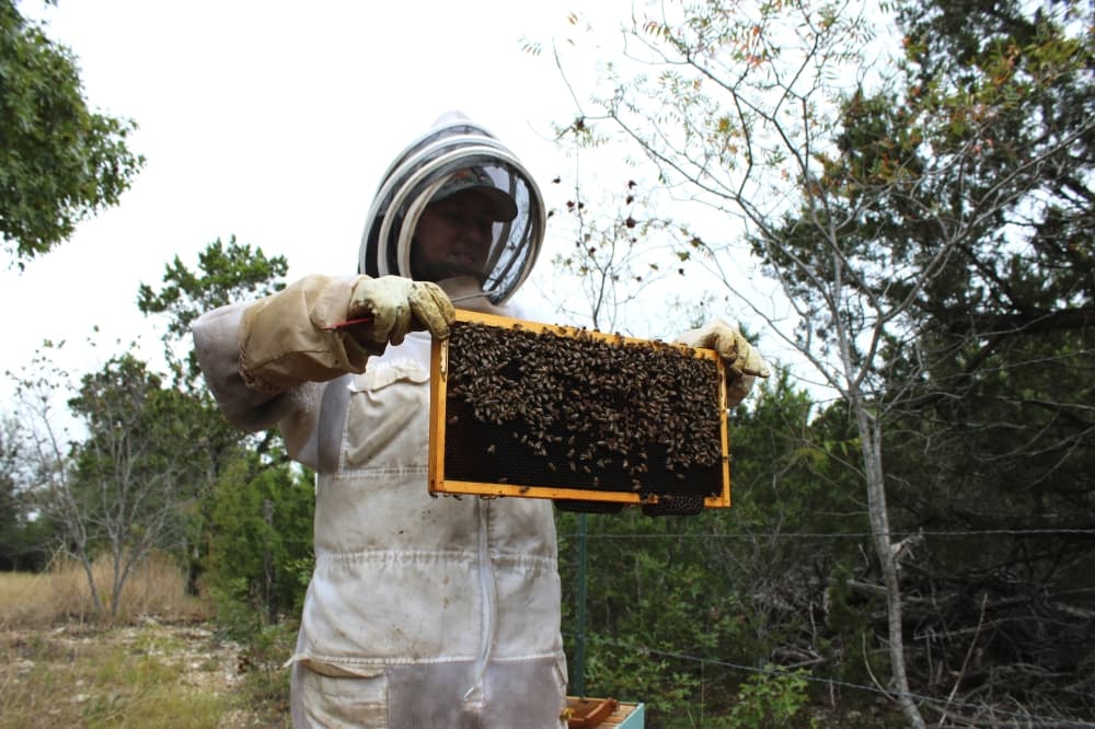 Liberty Hill honey farm prioritizes quality over quantity