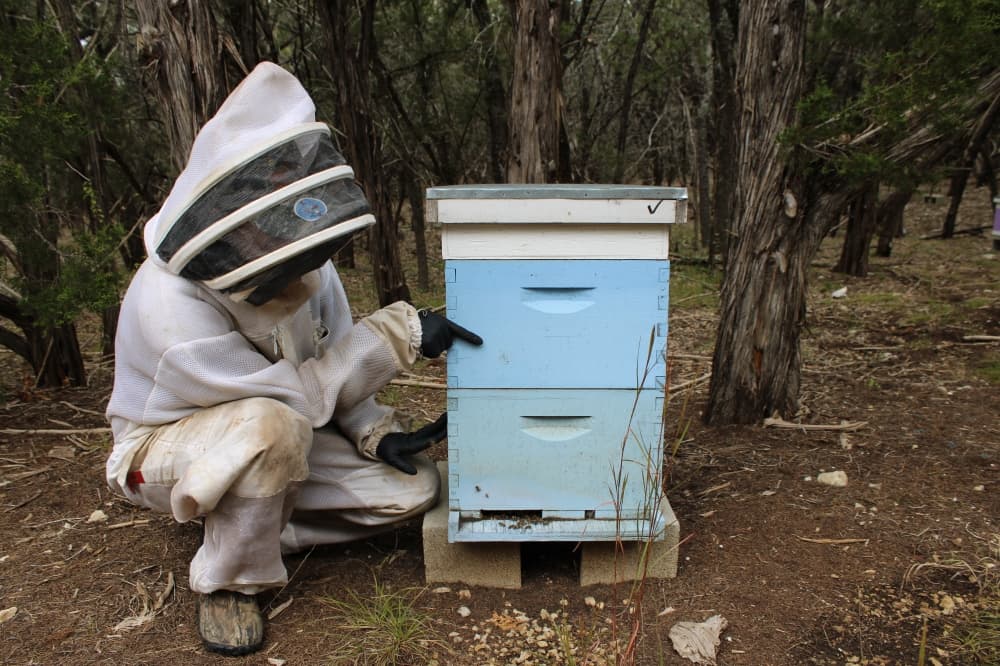 Beekeeper points to hive box. 