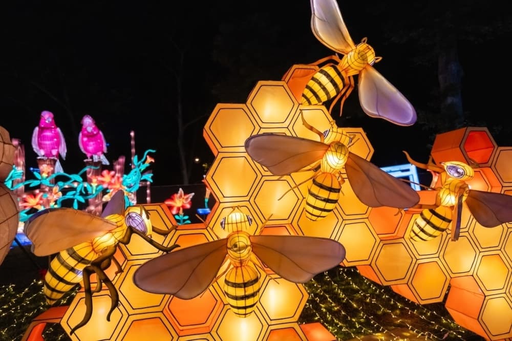 Illuminate at the San Antonio Botanical Garden will have gardens with light displays and sculptures. (Courtesy San Antonio Botanical Garden)