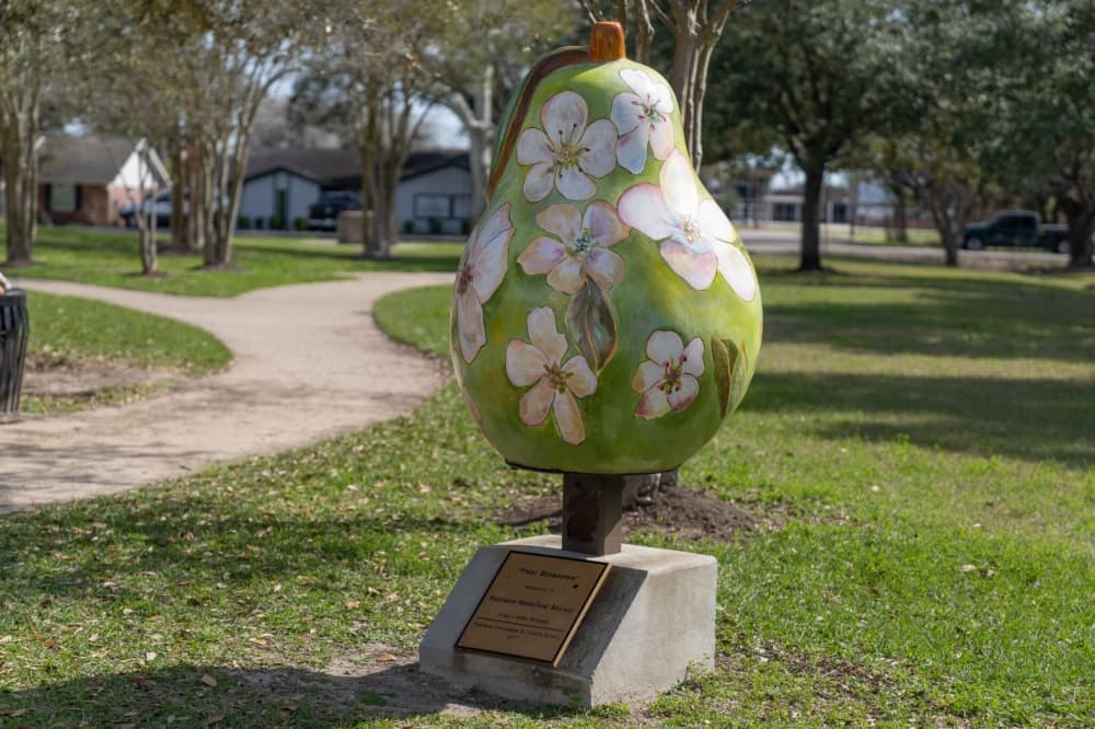Gov. Greg Abbott recognizes Pearland as a Tourism Friendly Texas Certified Community