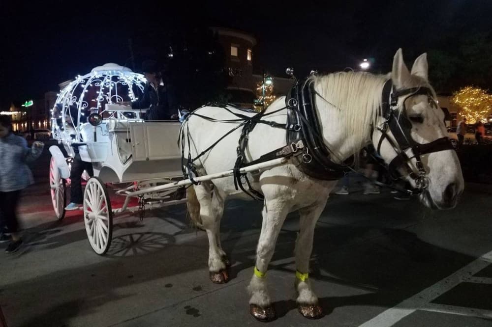 Complimentary horse drawn carriage rides will be given at The Shops at Highland Village. 