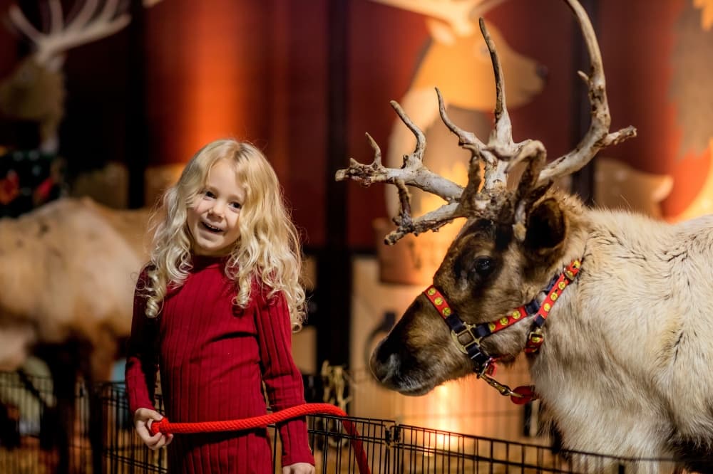 Celebrate Thanksgiving weekend with these 5 events in DFW Nov. 28-Dec. 4