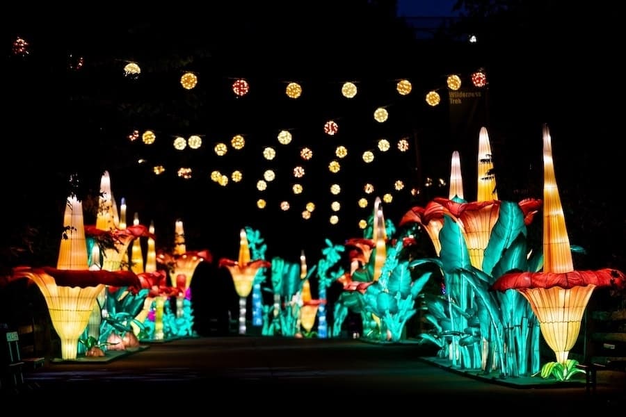 16 weekend events to attend in the San Antonio-New Braunfels area, Nov. 29-Dec. 1