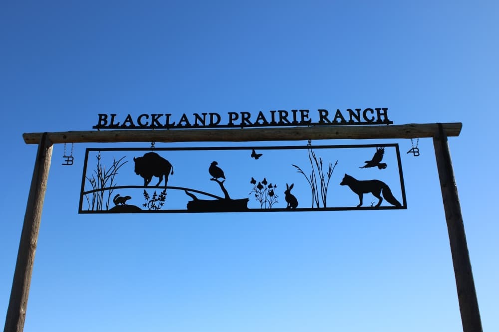 Blackland Prairie Ranch sign.