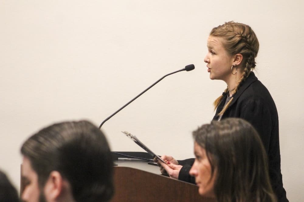 Lina Clarke speaking at public comment