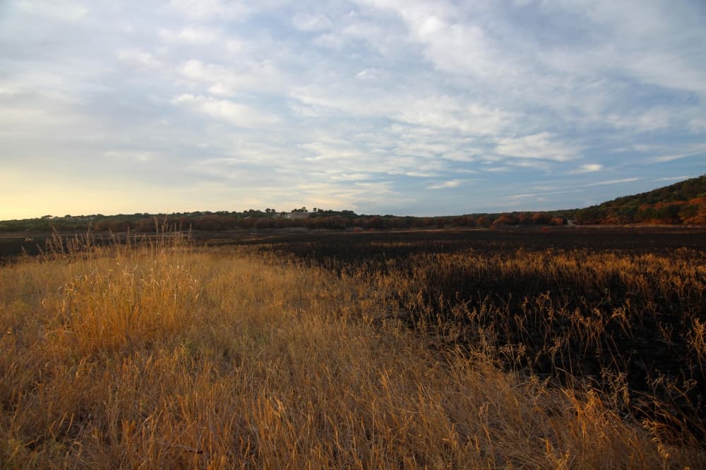 Controlled burns underway at parks near Lake Georgetown
