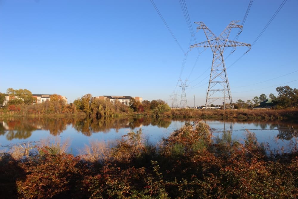 Halff Associates to design boardwalk around pond in Lewisville