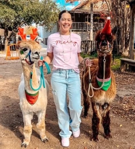 Two alpacas are dressed in holiday costumes at a previous event.