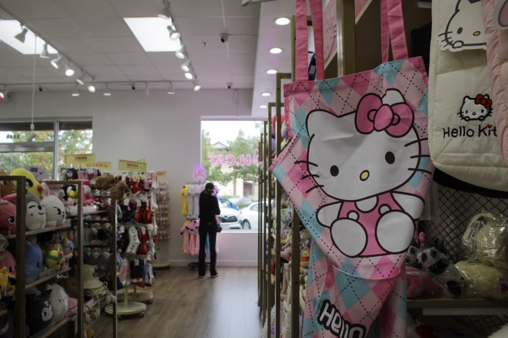 An image of a Hello Kitty bag. 