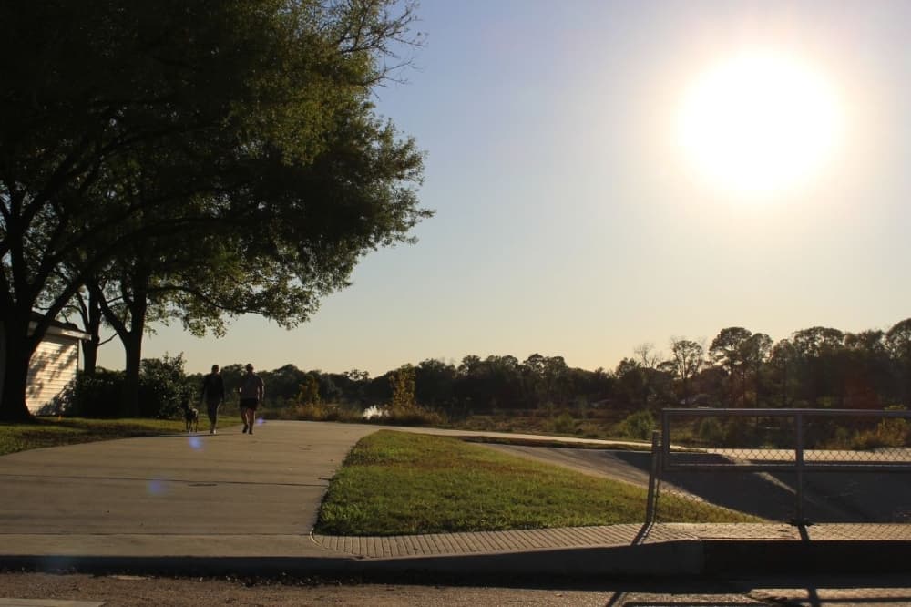 Exploration Green Conservancy asks for public input to name ponds