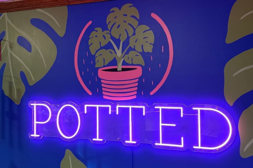 Owner Alex Drisaldi opened Potted in Pinehurst in December, he confirmed. (Courtesy Potted)