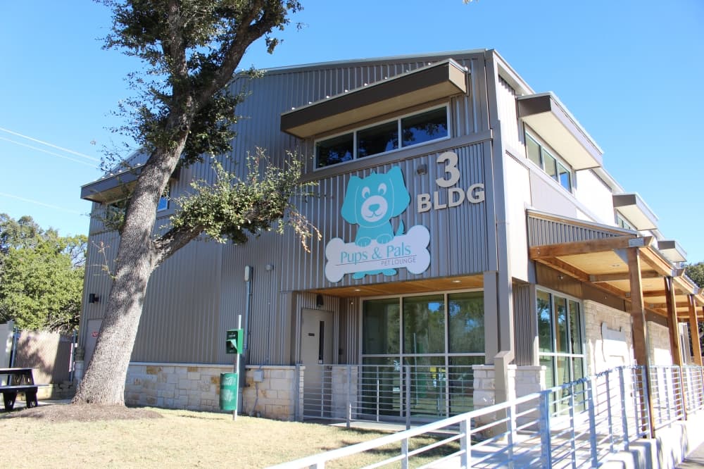 Pups & Pals Pet Lounge offers inclusive space for dogs, pet parents in South Austin