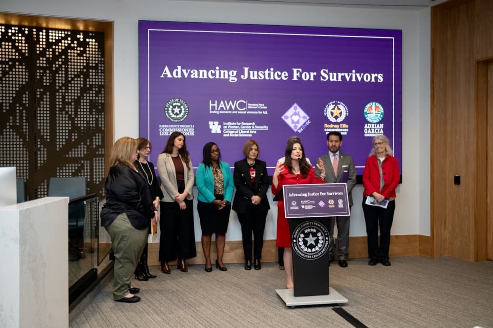 Harris County leaders invest $4M in domestic violence reduction efforts