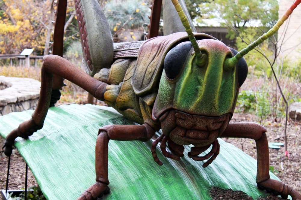 Statue of a grasshopper. 