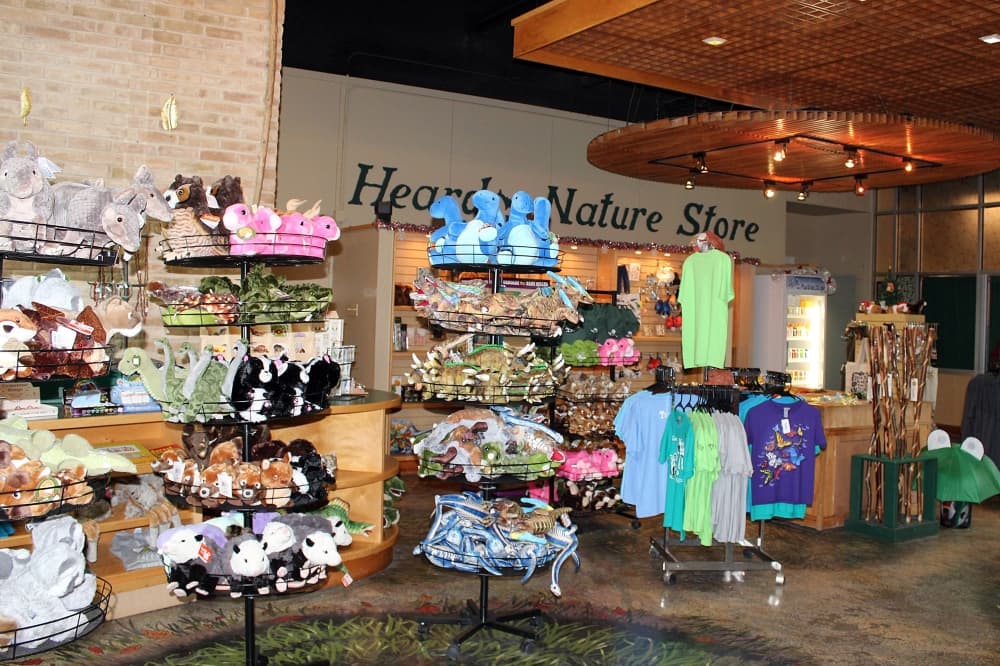 Gift shop with stuffed dinosaurs on display. 