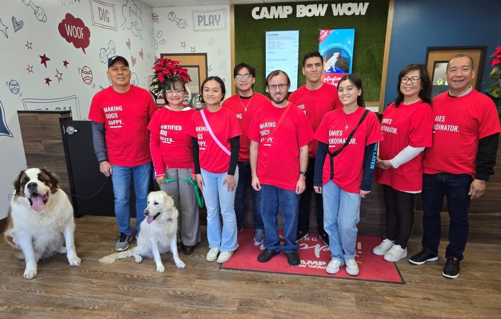 Camp Bow Wow opens as new doggy day care in Bellaire