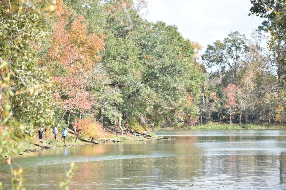 Local parks guide: 14 places to enjoy the outdoors in Cy-Fair