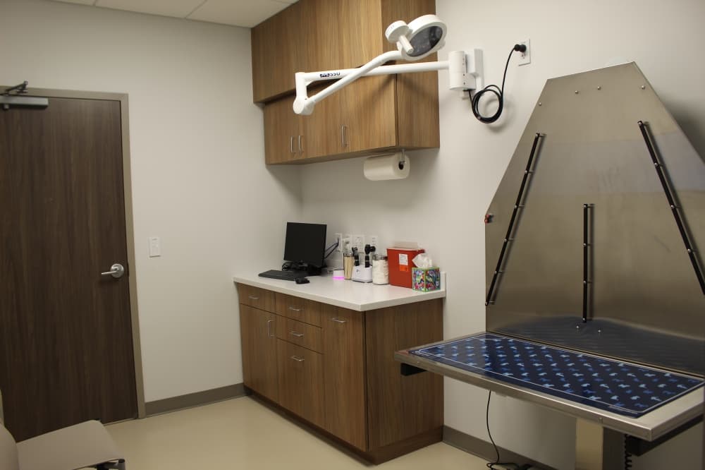 Buda Veterinary Clinic