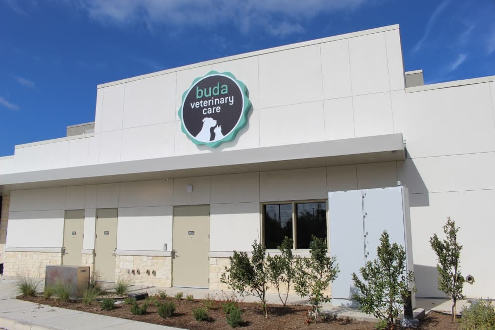 Buda Veterinary Clinic