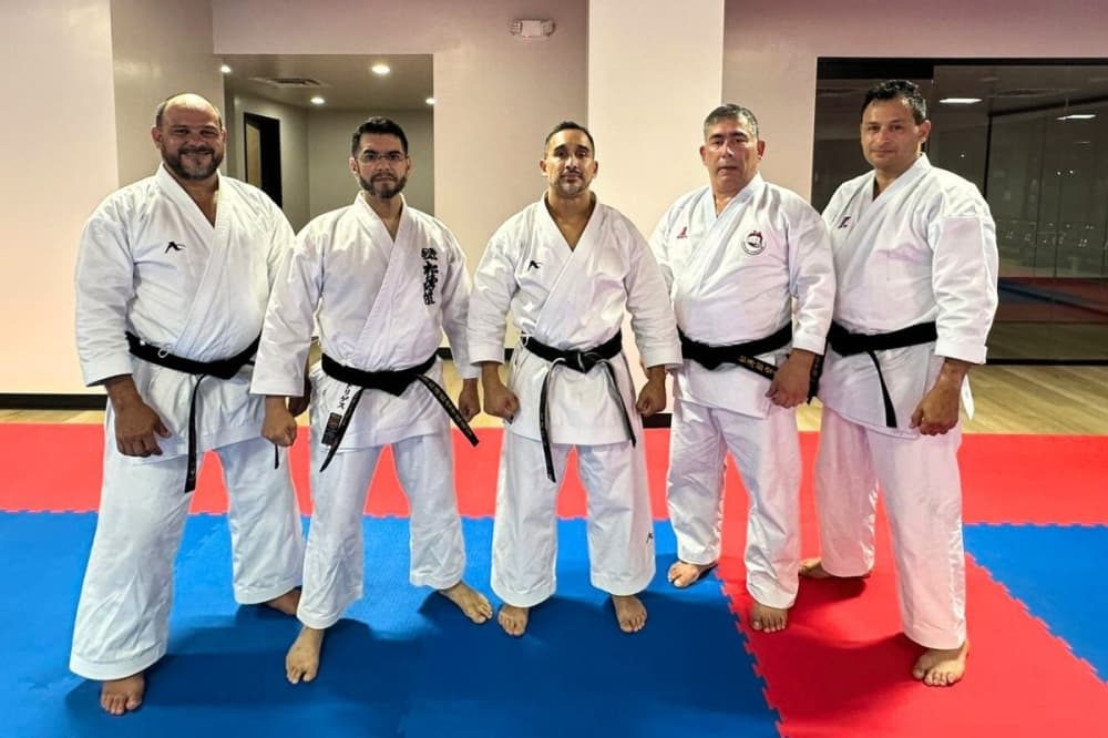 Budokan Martial Arts opening 2 new dojos in Fulshear, Sugar Land