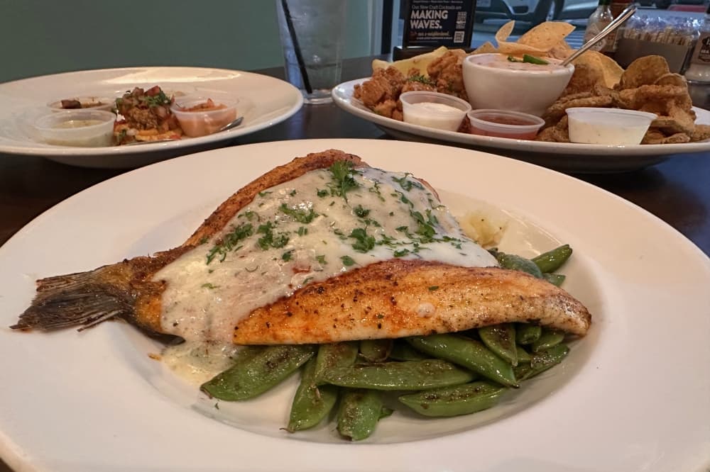 Fish City Grill offers unique seafood dining experience