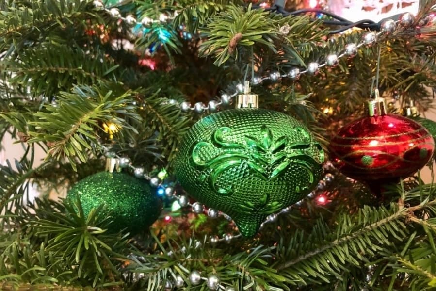 Learn how to dispose of holiday lights, Christmas trees in Georgetown