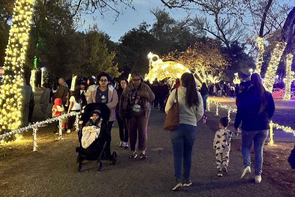 Families walk along the path with lighted trees and others displays surrounding them.