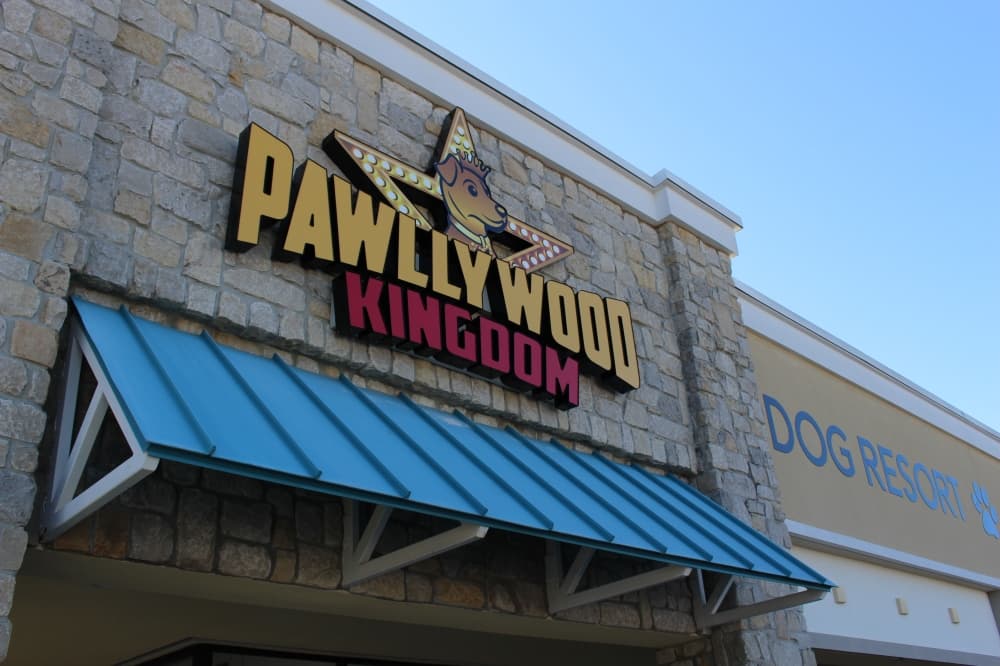 Pawllywood Kingdom now serving Cypress pets