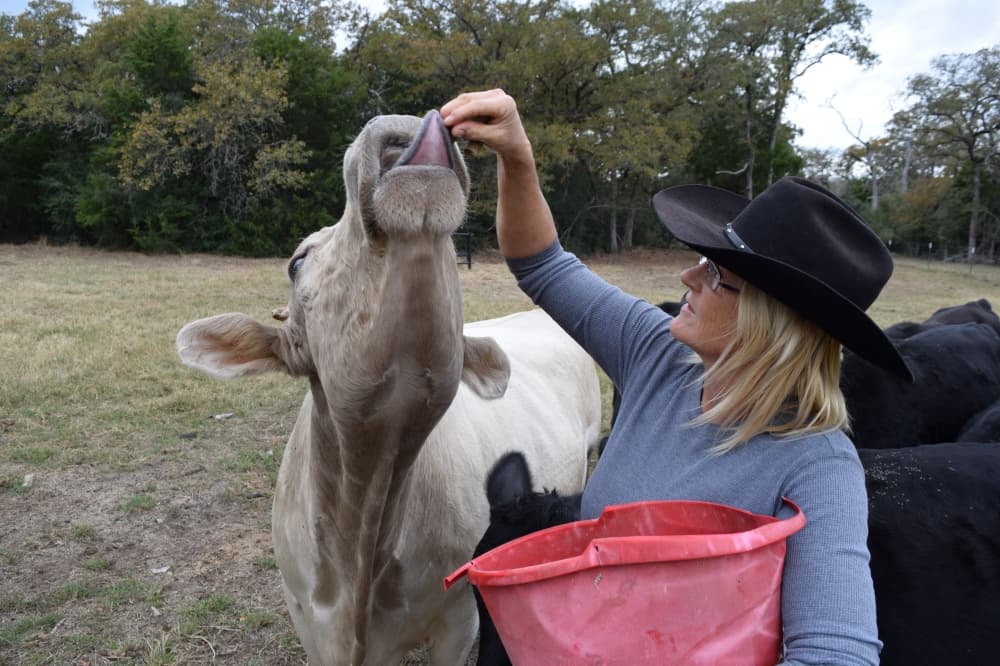 Bastrop groups cook up plans to support local farmers and ranchers
