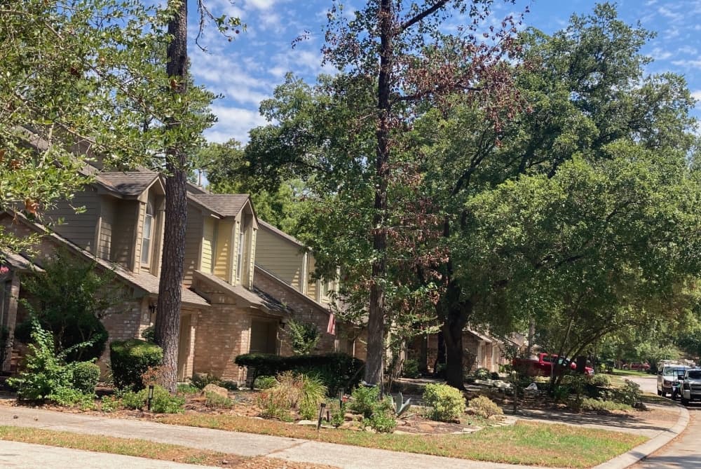 Home sales up in 5 The Woodlands-area ZIP codes in December