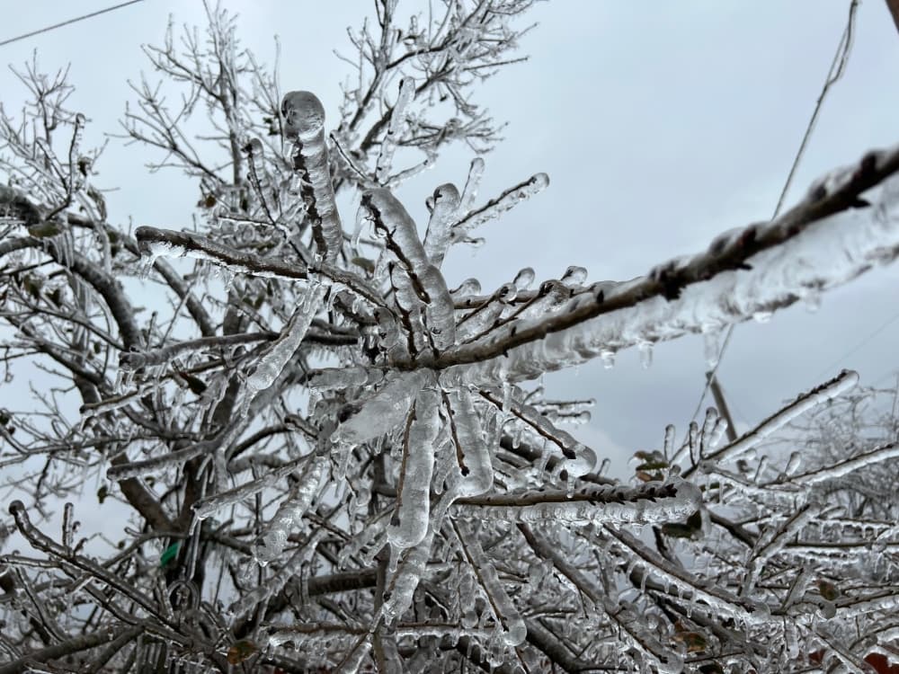 What to know about Argyle ISD winter weather updates