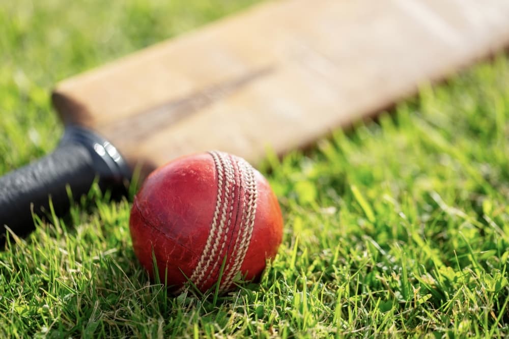 The Sportz Box to open cricket gear store in Frisco