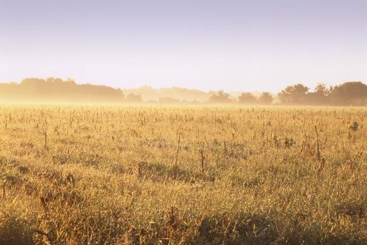 Coastal Prairie Conservancy preserves 1,329 acres through landowner agreements