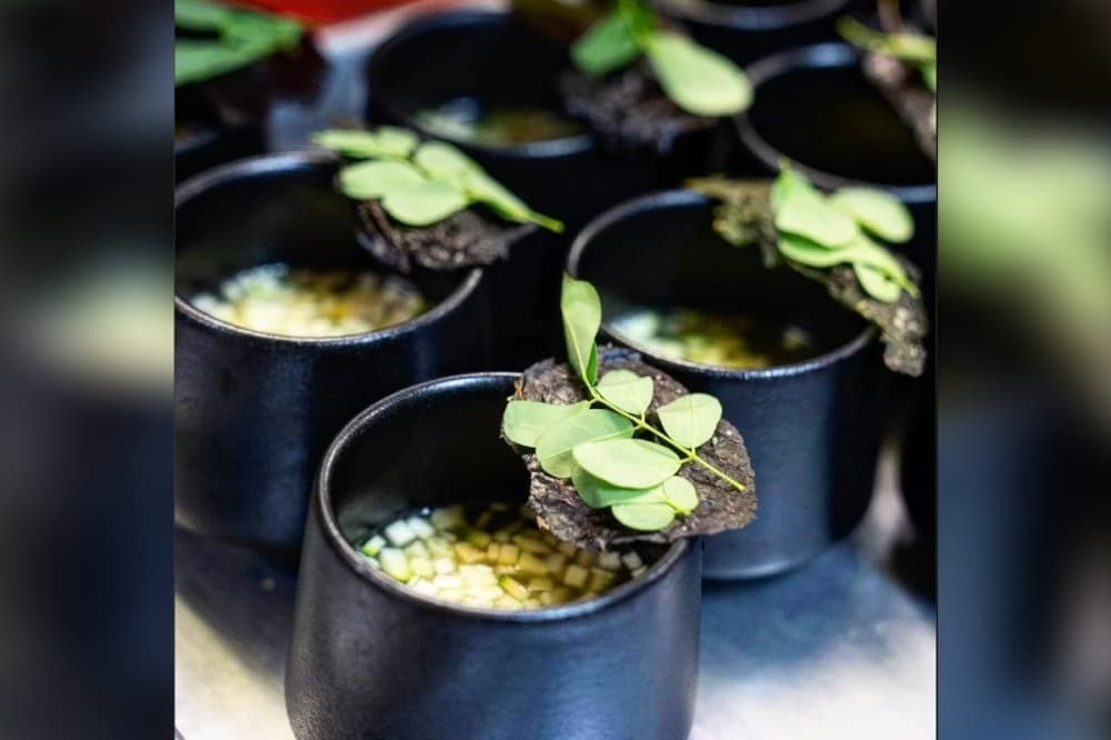 Chikahan brings Filipino fine dining to Houston