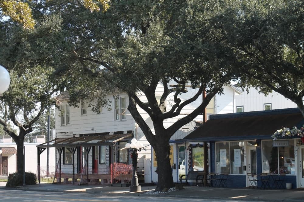 Tomball City Council passes city’s 1st tree preservation ordinance