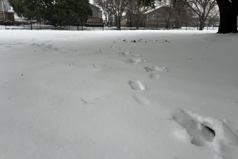 Frisco ISD schools to be closed Friday, Jan. 10