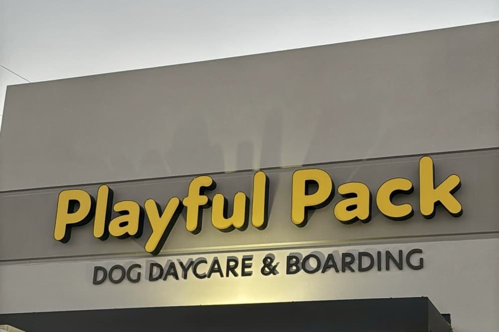 Playful Pack Dog Daycare and Boarding coming soon to The Woodlands area