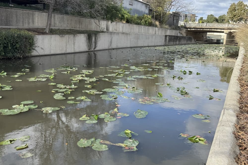 San Antonio River to be partially drained for maintenance