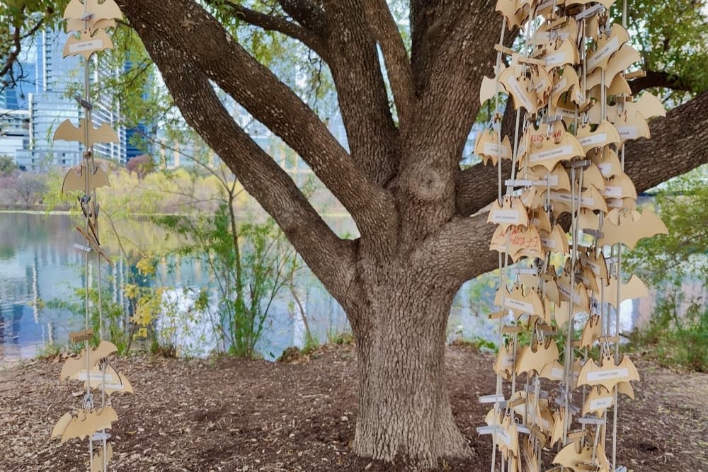 Report finds Austin-area homeless deaths on the rise