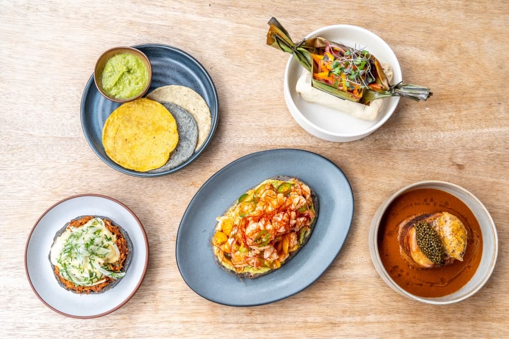 Maximo reopens in West University after revamping menu
