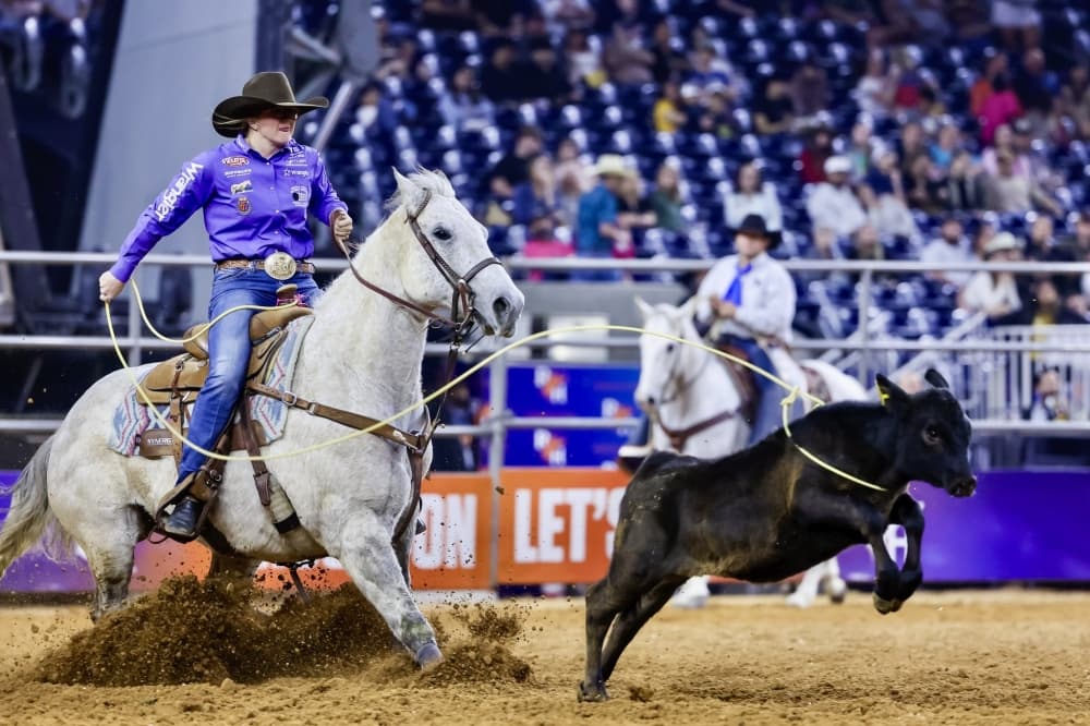 Houston Livestock Show and Rodeo returns for 93rd year